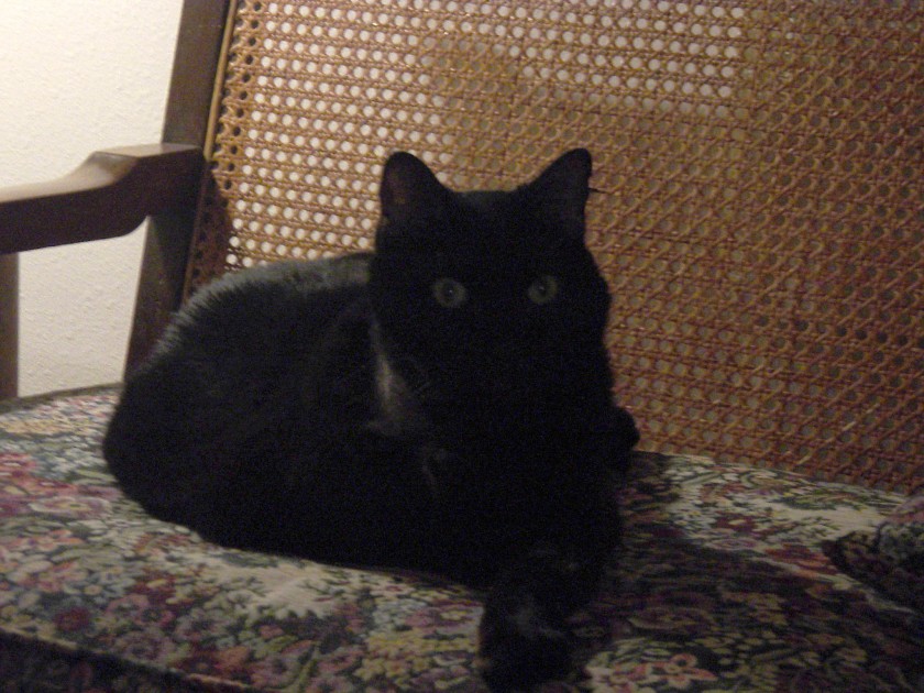 dsc04571