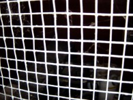 dsc04631