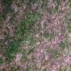 dsc04807