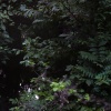 dsc05754
