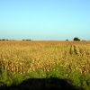 dsc05757