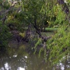 dsc05777