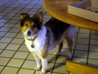 dsc05805 dsc05805