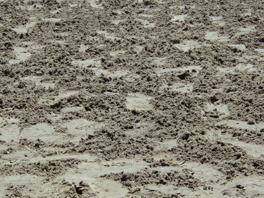 dsc05874