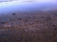 dsc05899 dsc05899
