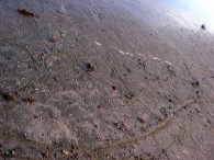 dsc05900