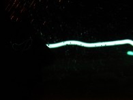 dsc06142 dsc06142