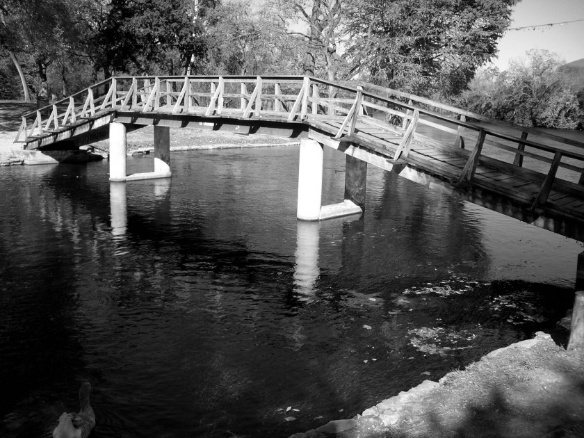 imgp0307
