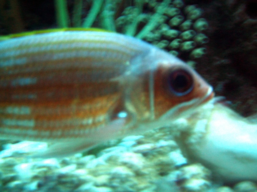 imgp0389