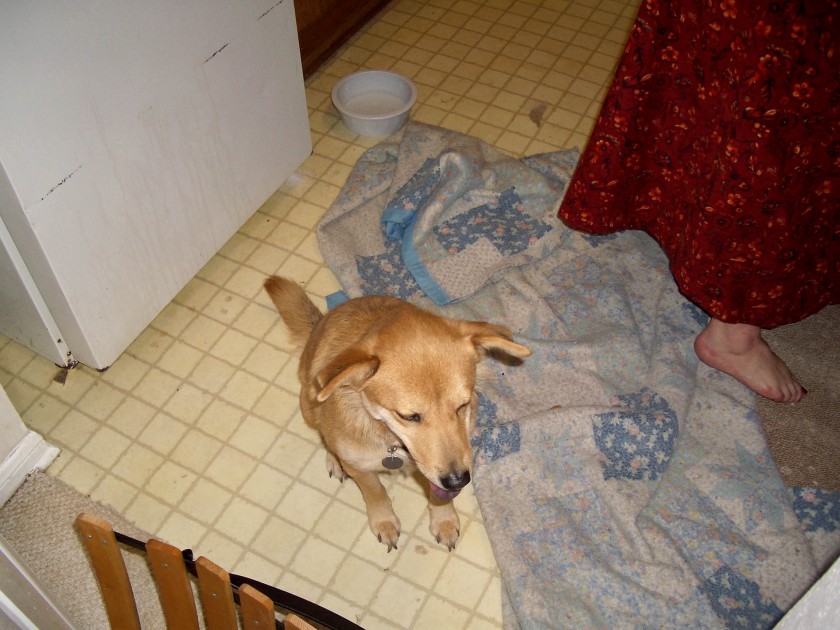 imgp0934
