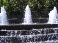 imgp2890 imgp2890