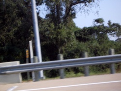 imgp3537