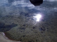 imgp4239 imgp4239