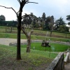 dsc00906