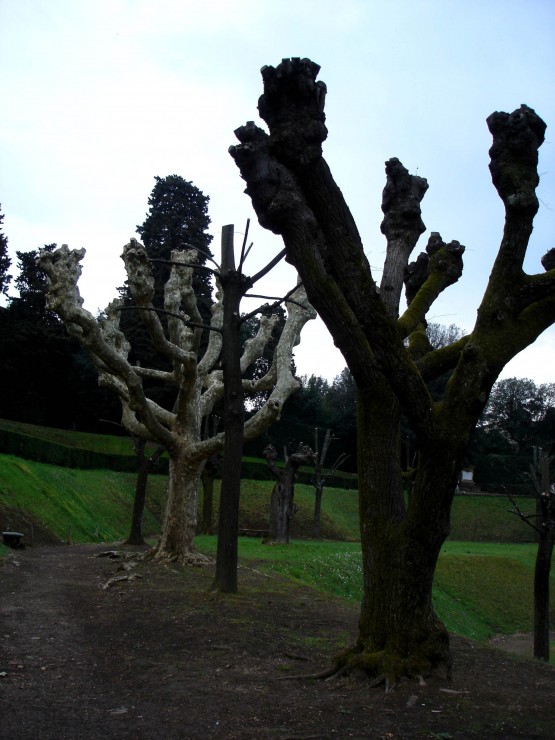 dsc00907