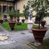 imgp4746