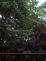 imgp5444