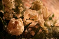 img_0101 img_0101