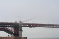 img_0147