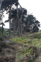 img_0160
