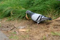 img_0169