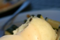 img_0650 img_0650