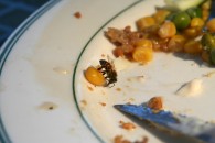 img_0652 img_0652