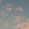 img_0696