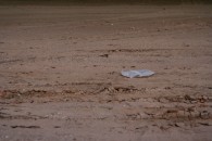 img_0698 img_0698