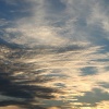 img_0801