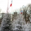 img_1377