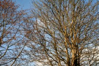 img_1717