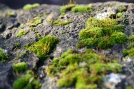 img_1718