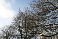 img_1725