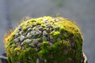 img_1734