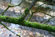 img_1735