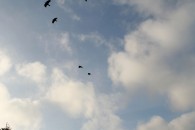 img_1742