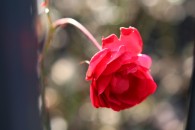 img_1748