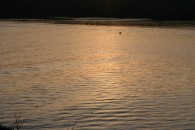 img_1814