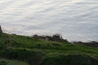 img_1824