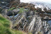 img_1842