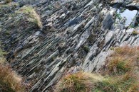 img_1849