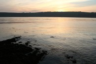 img_1861
