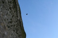 img_1874
