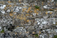 img_1879