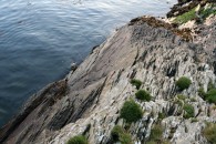 img_1883