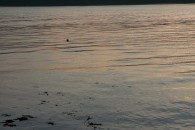 img_1887