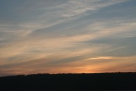 img_1894
