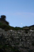 img_1903