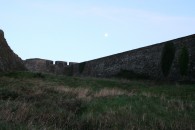 img_1910
